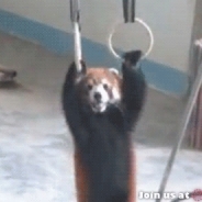 Leif Steinbaugh profile photo