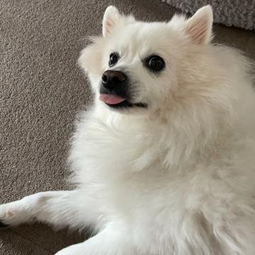 Min Ah Han profile photo