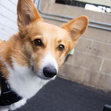 Dora Kane profile photo