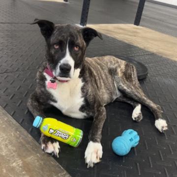 Andy Katt profile photo