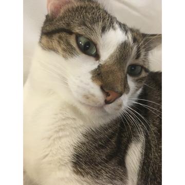 Vince Joubert profile photo