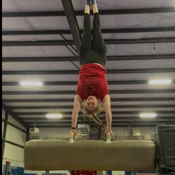 Terri Logan profile photo