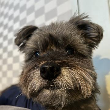 LEEYEONG KIM profile photo