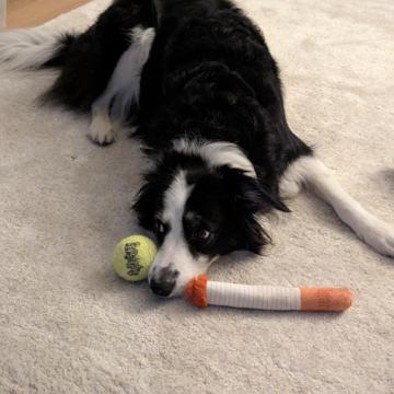 Joanna Biczyk-Kosidlowska profile photo