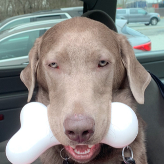 David Schneider profile photo