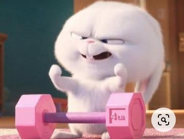 Daniela Cardoso profile photo