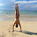 Aquiles Montas profile photo