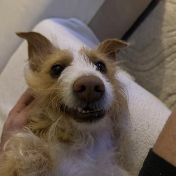 Alejandro Jackson profile photo