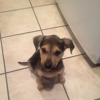 Gerald Maunsell profile photo