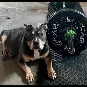 Kendal Spencer profile photo