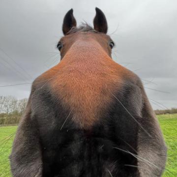 Kim Dongmyeng profile photo