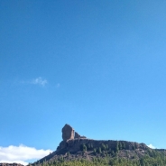 Carlos Quintana profile photo