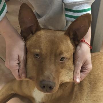 Miguel Cortés Quiles profile photo