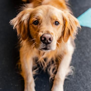 Madison Stoddard profile photo