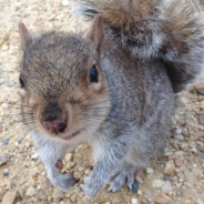 Mary Gallagher profile photo