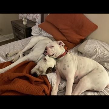 Katie Glover profile photo