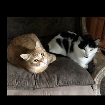 Patricia Colin profile photo