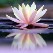 Jamie Page profile photo