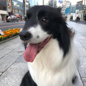 Rei Ii profile photo