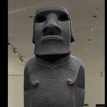 zhu jialun profile photo