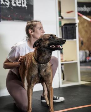 Mario Capelli profile photo