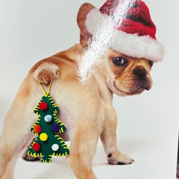 Josh Callahan profile photo