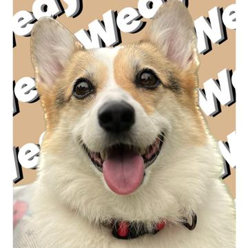 daewoong Ha profile photo