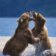 Buck Crum profile photo