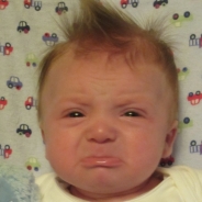 John Reinhold profile photo