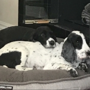 Patricia Faley profile photo