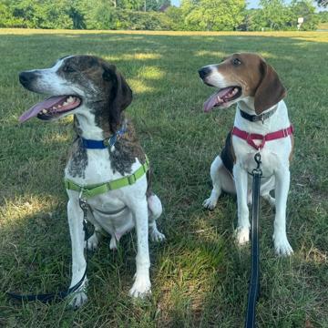 James Weser profile photo