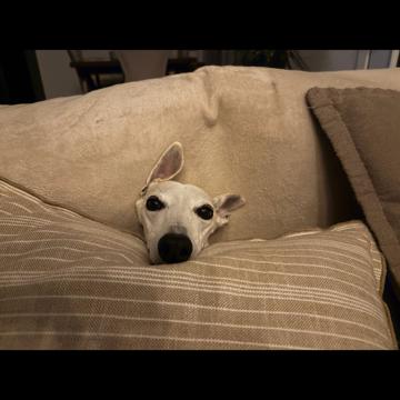 Lucie Schuster profile photo