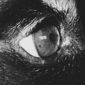 PEDRO BERMUDEZ CARMONA profile photo