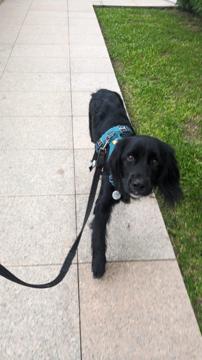 Sharron Lim profile photo