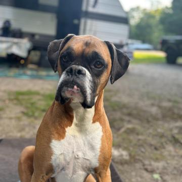 Mallory Shinneman profile photo