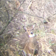 Frank T profile photo