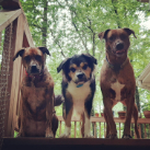 Brooke Terilli profile photo