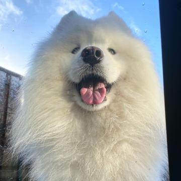 Es. M. profile photo