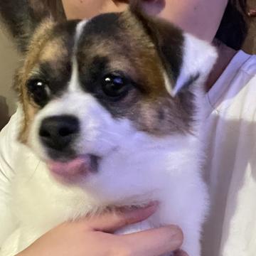 Dayeon Choi profile photo