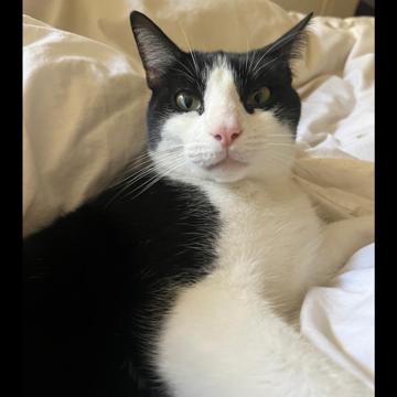 Adriana Martin profile photo