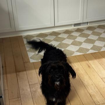 Soleil Duval profile photo