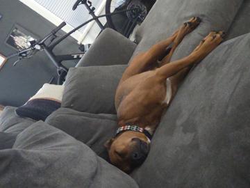 Cagen Fowler profile photo