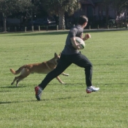 Affiliate: NorthEast CrossFit | CrossFit Games