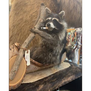 Zainn Ison profile photo