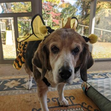 Nathan Hawkins profile photo