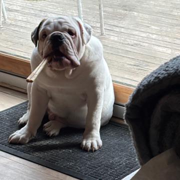 Jeffrey Beck profile photo