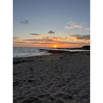 Maureen Spagnol profile photo