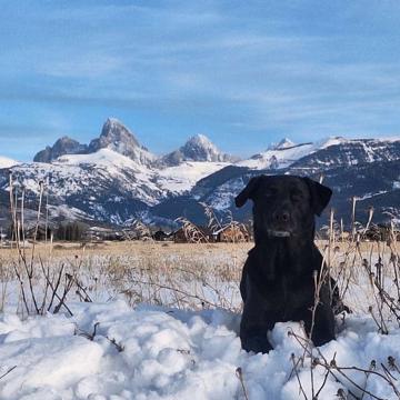 Morgan Harris profile photo