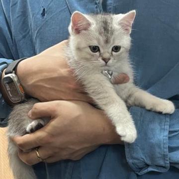 Seung-Ik Jeon profile photo