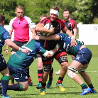 Gareth Wehrle profile photo